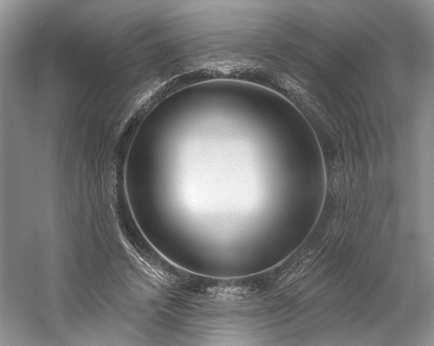 X0000059820448200510211151