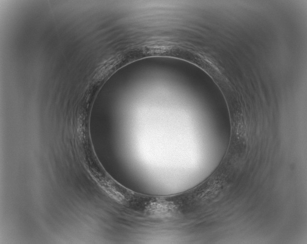 X0000059820455200510211151