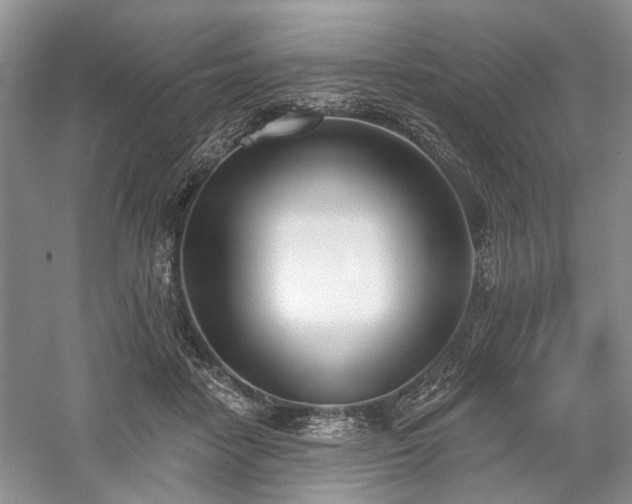 X0000059820458200510211151