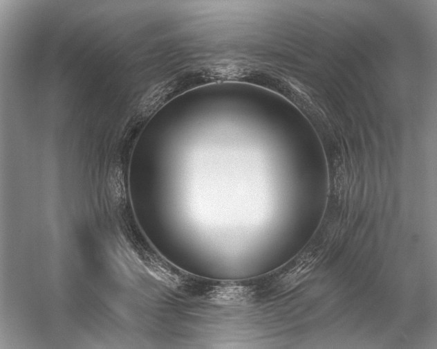 X0000059820459200510211151