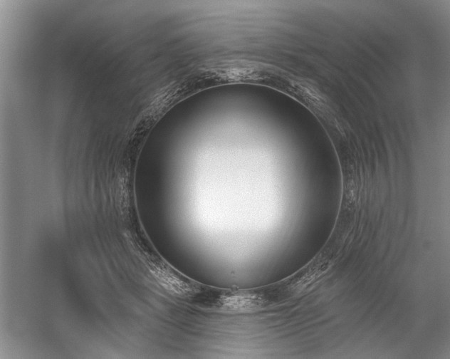 X0000059820461200510211151