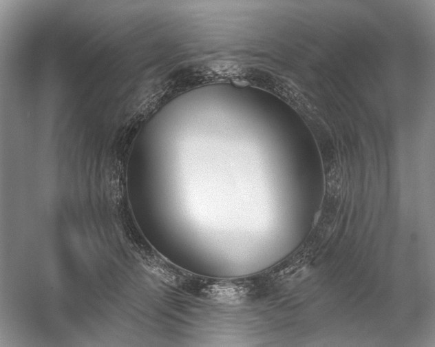 X0000059820464200510211151