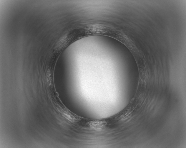 X0000059820465200510211151