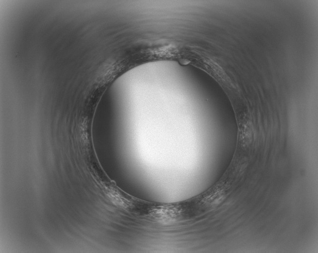 X0000059820466200510211151