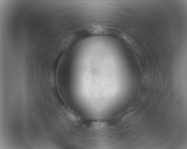 X0000059820469200510211151