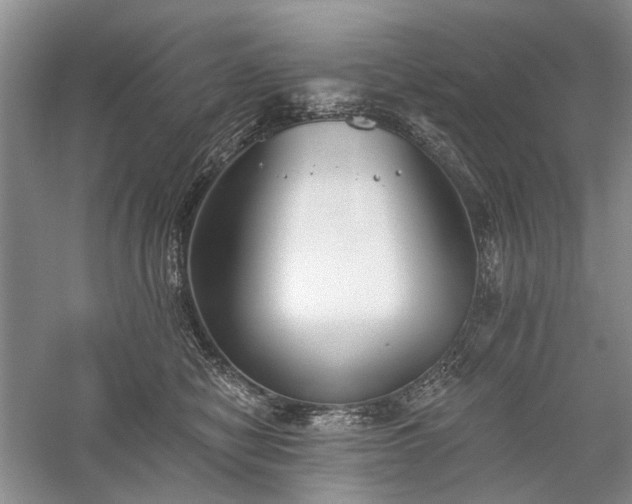 X0000059820470200510211151