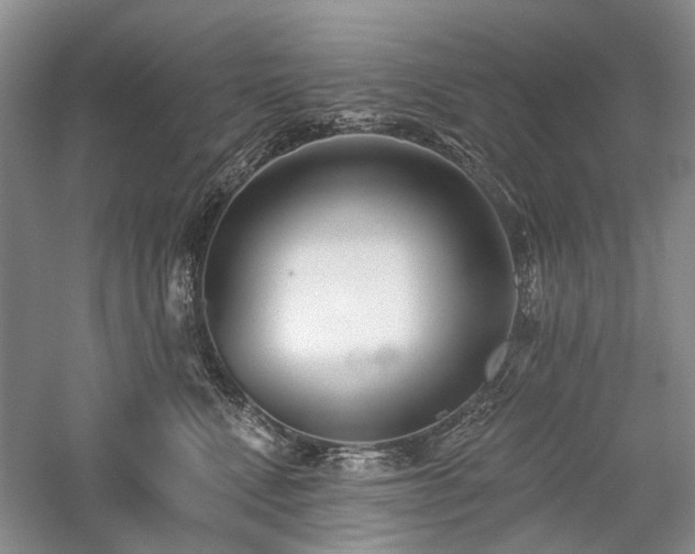 X0000059820472200510211151