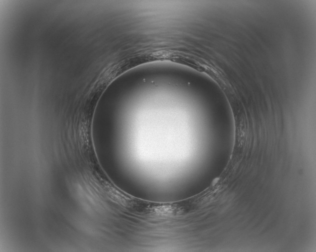 X0000059820473200510211151