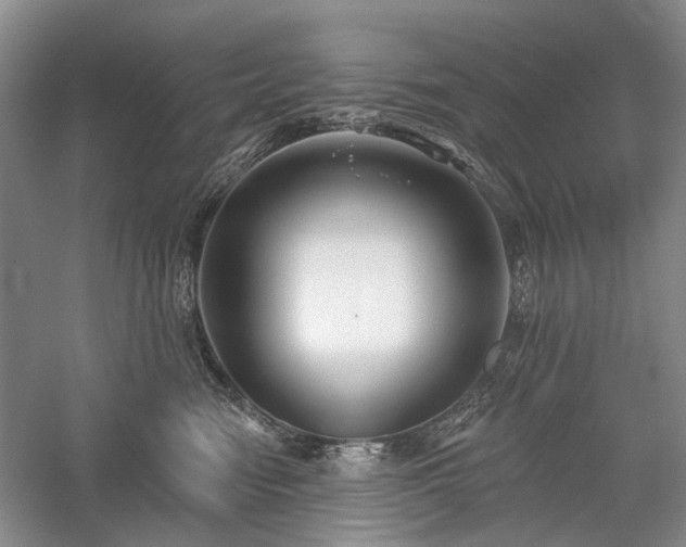 X0000059820474200510211151