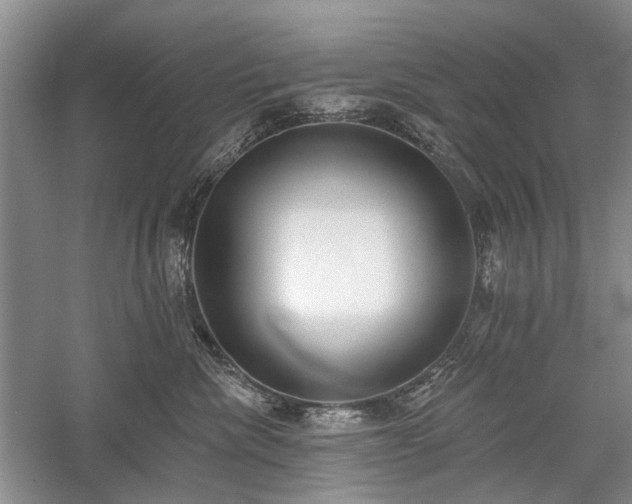 X0000059820476200510211151