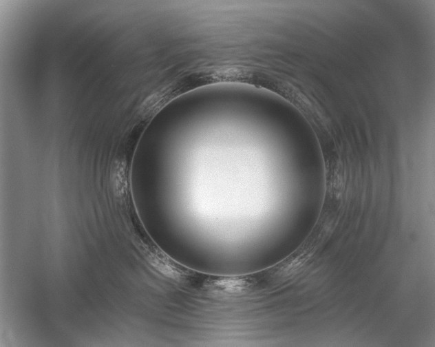 X0000059820478200510211151