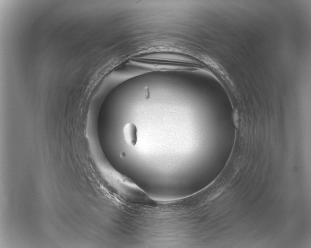 X0000059820481200510211151