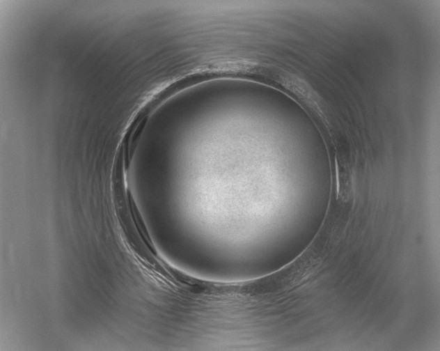 X0000059820483200510211150