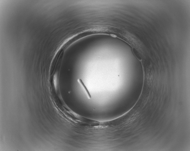 X0000059820484200510211150