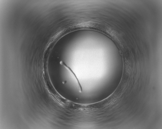 X0000059820486200510211150