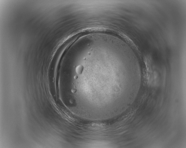 X0000059820487200510211150