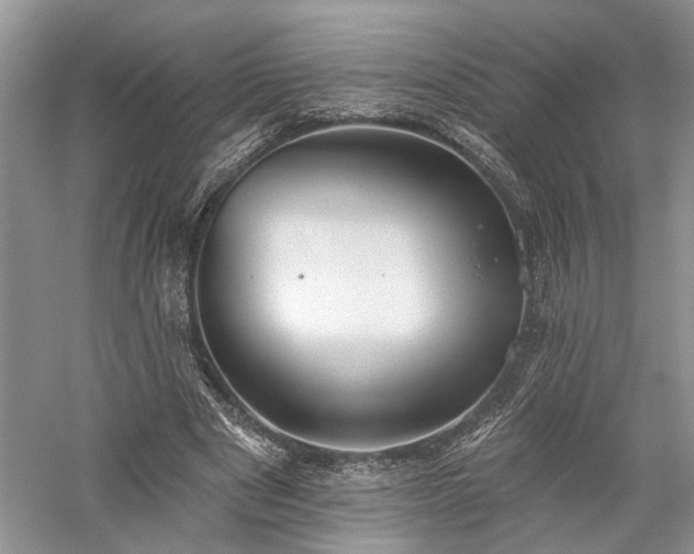 X0000059820489200510211150