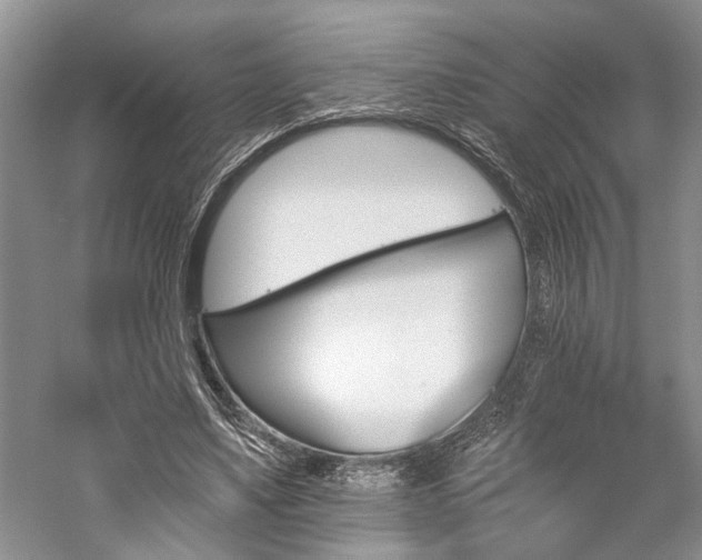 X0000059820491200510211150