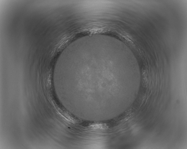 X0000059820499200510211150