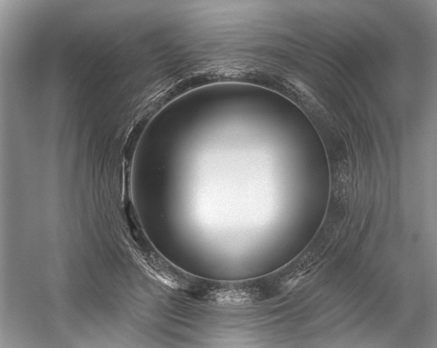 X0000059820500200510211150