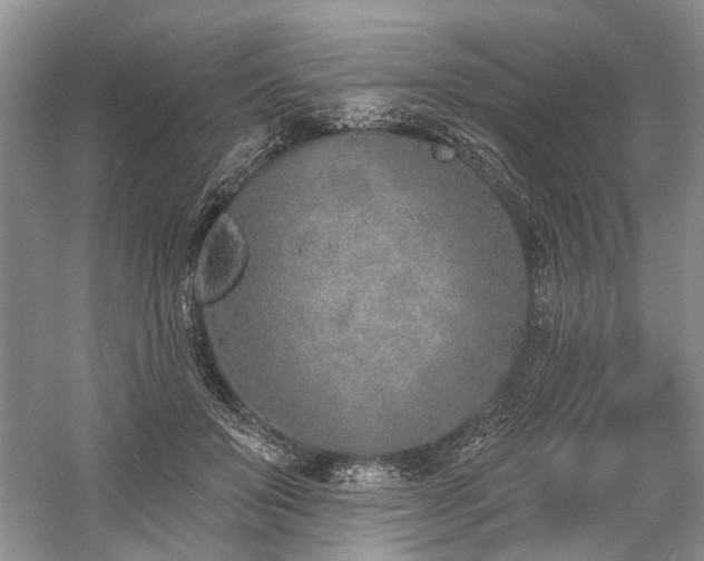 X0000059820503200510211150