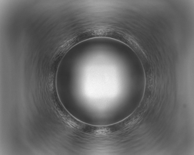 X0000059820505200510211150