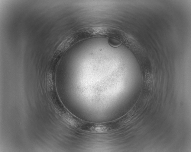 X0000059820506200510211150