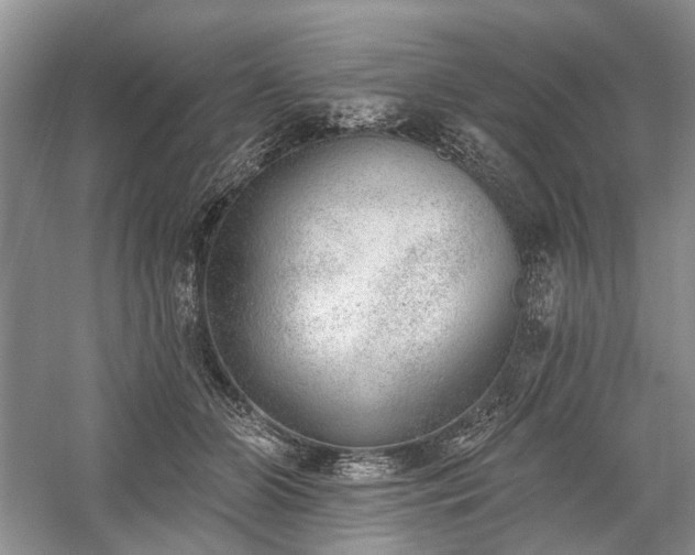 X0000059820510200510211150