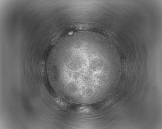 X0000059820511200510211150