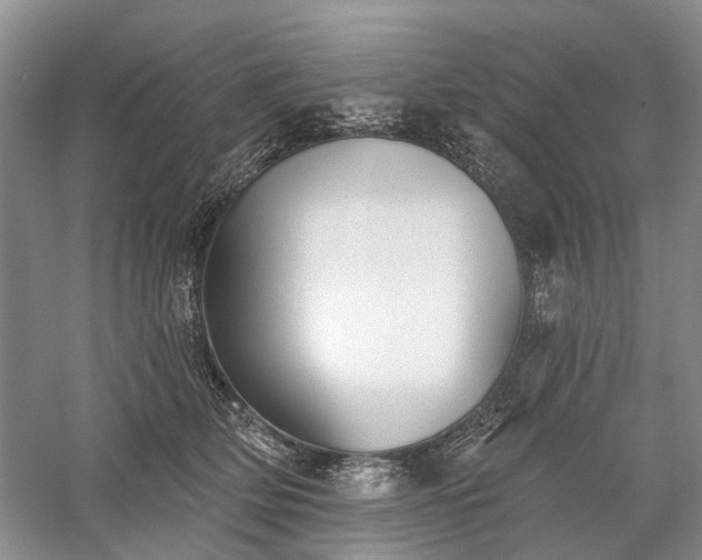 X0000059820514200510211150