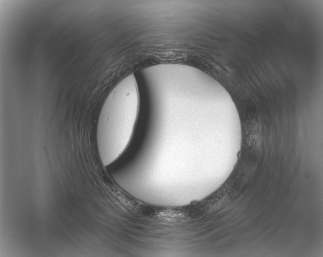 X0000059820515200510211150