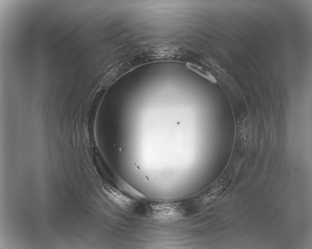 X0000059820516200510211150