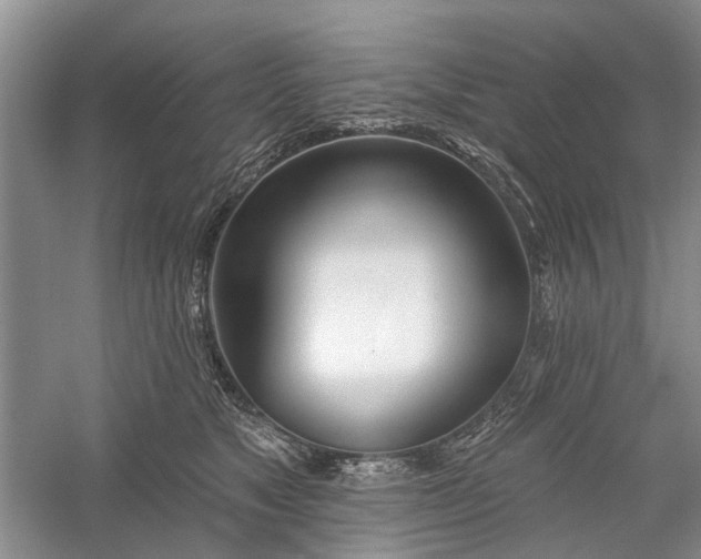 X0000059820517200510211150