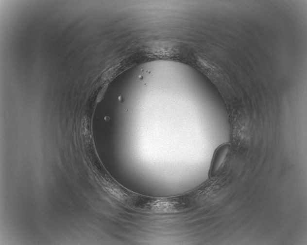 X0000059820518200510211150