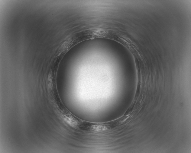 X0000059820520200510211150