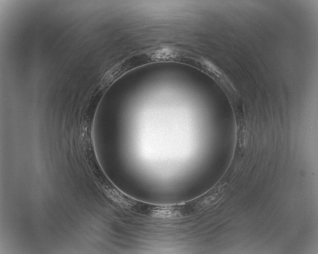 X0000059820521200510211150