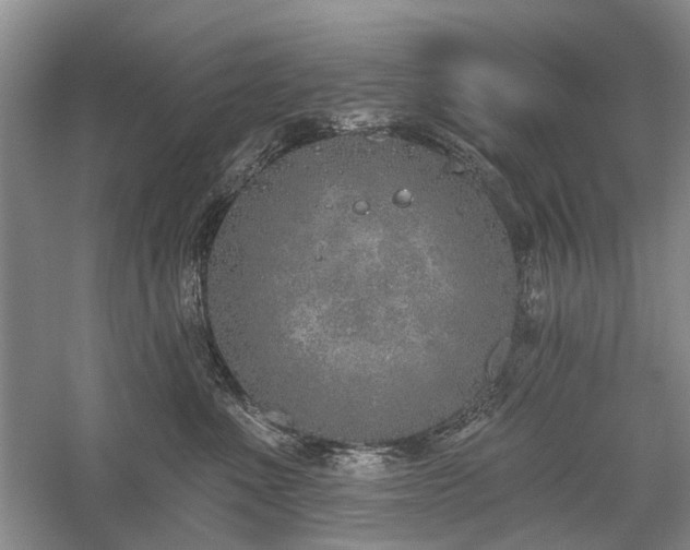 X0000059820523200510211150