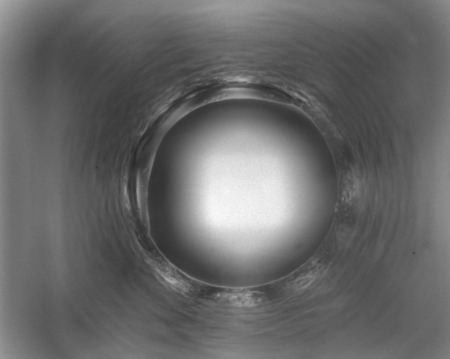 X0000059820524200510211150