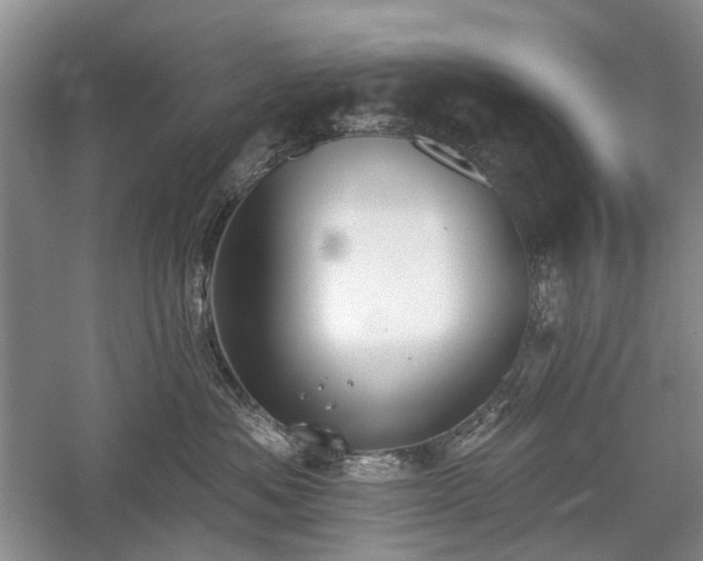 X0000059820525200510211150