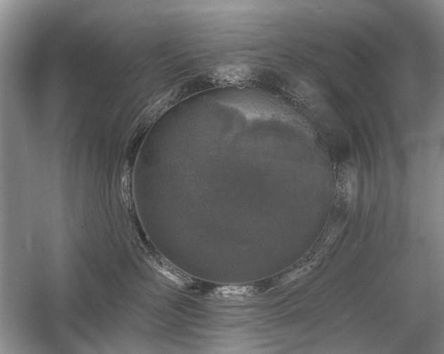 X0000059820526200510211150