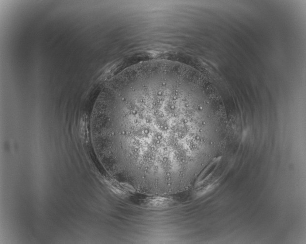 X0000059820527200510211150