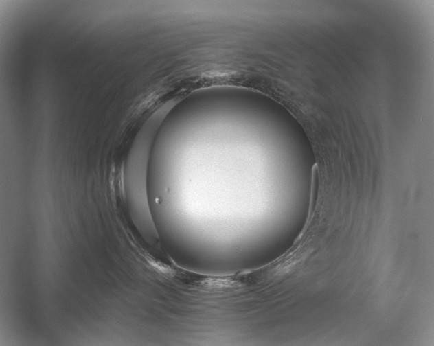 X0000059820528200510211150