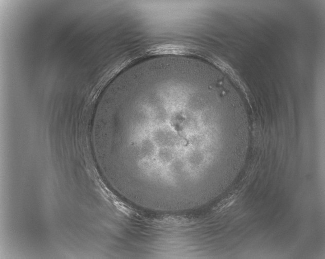 X0000059820529200510211149