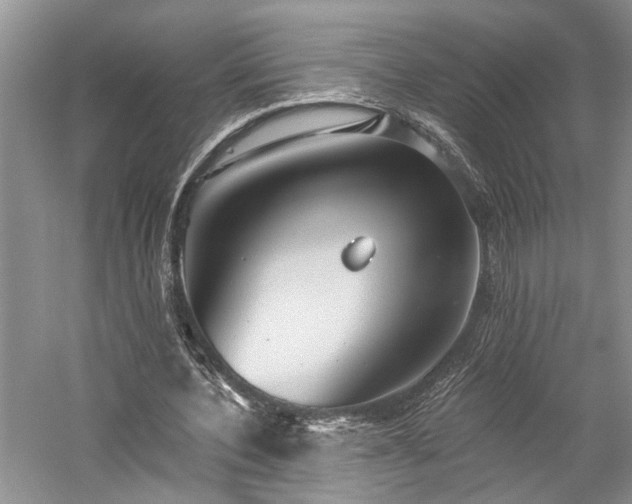 X0000059820532200510211149