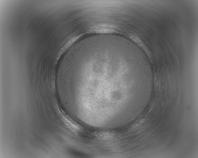 X0000059820533200510211149