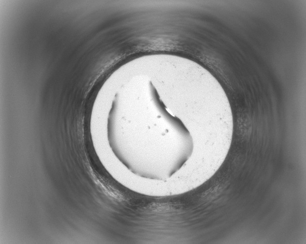 X0000059820534200510211149