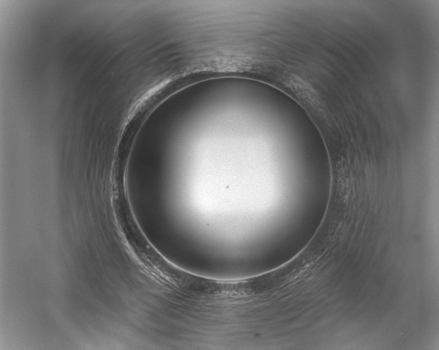 X0000059820536200510211149