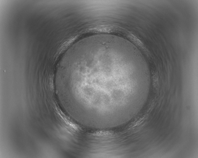 X0000059820537200510211149