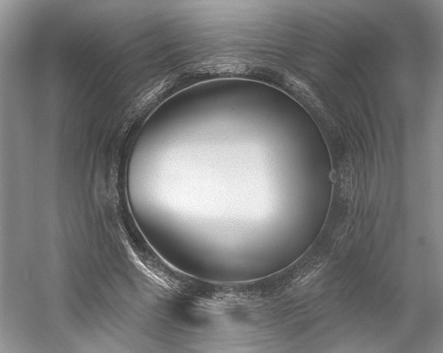 X0000059820538200510211149