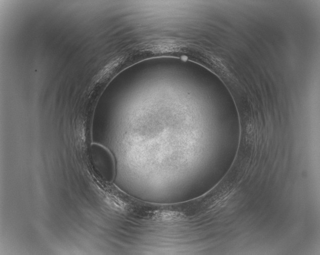 X0000059820539200510211149